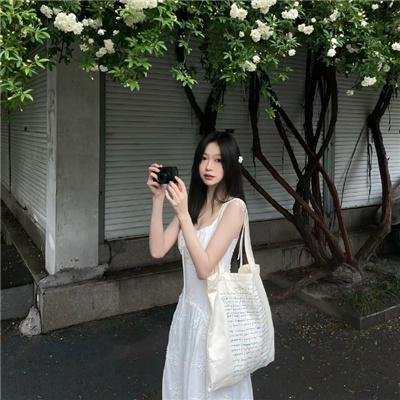 如果猫从世界上消失